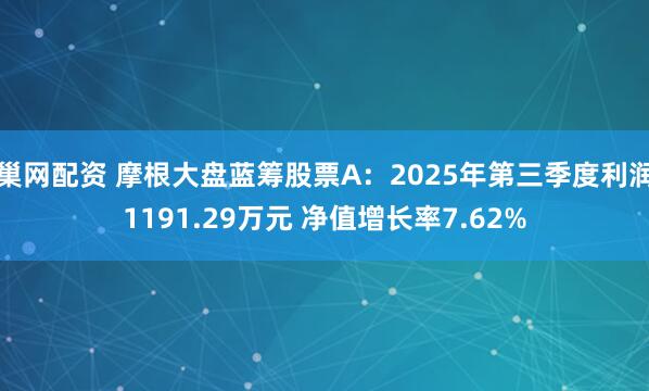 巢网配资 摩根大盘蓝筹股票A：2025年第三季度利润1191.29万元 净值增长率7.62%