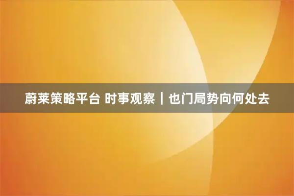 蔚莱策略平台 时事观察｜也门局势向何处去